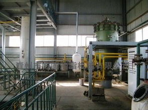 動植物油精煉設(shè)備的全面解析 從設(shè)備類型到價格因素